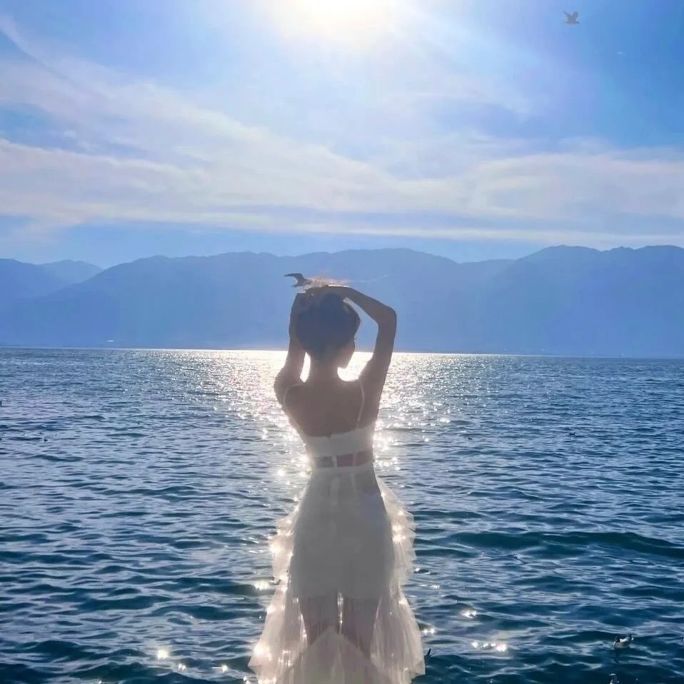 誓约归隐海报