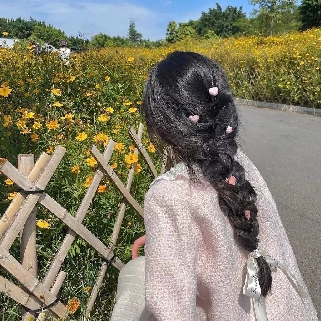 蝴蝶的梦想海报